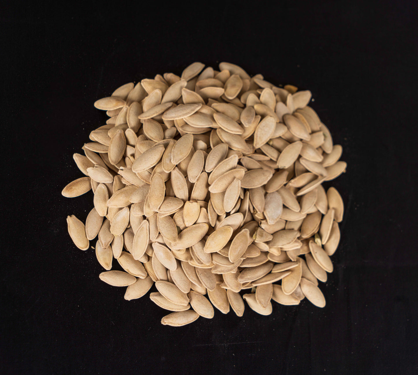 Kosa Seeds | حب كوسا